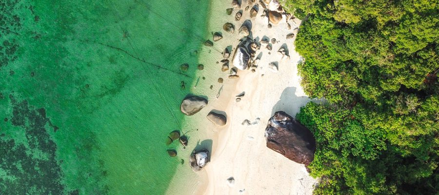 photographie aérienne de rochers et d'arbres au bord de la mer pendant la journée
